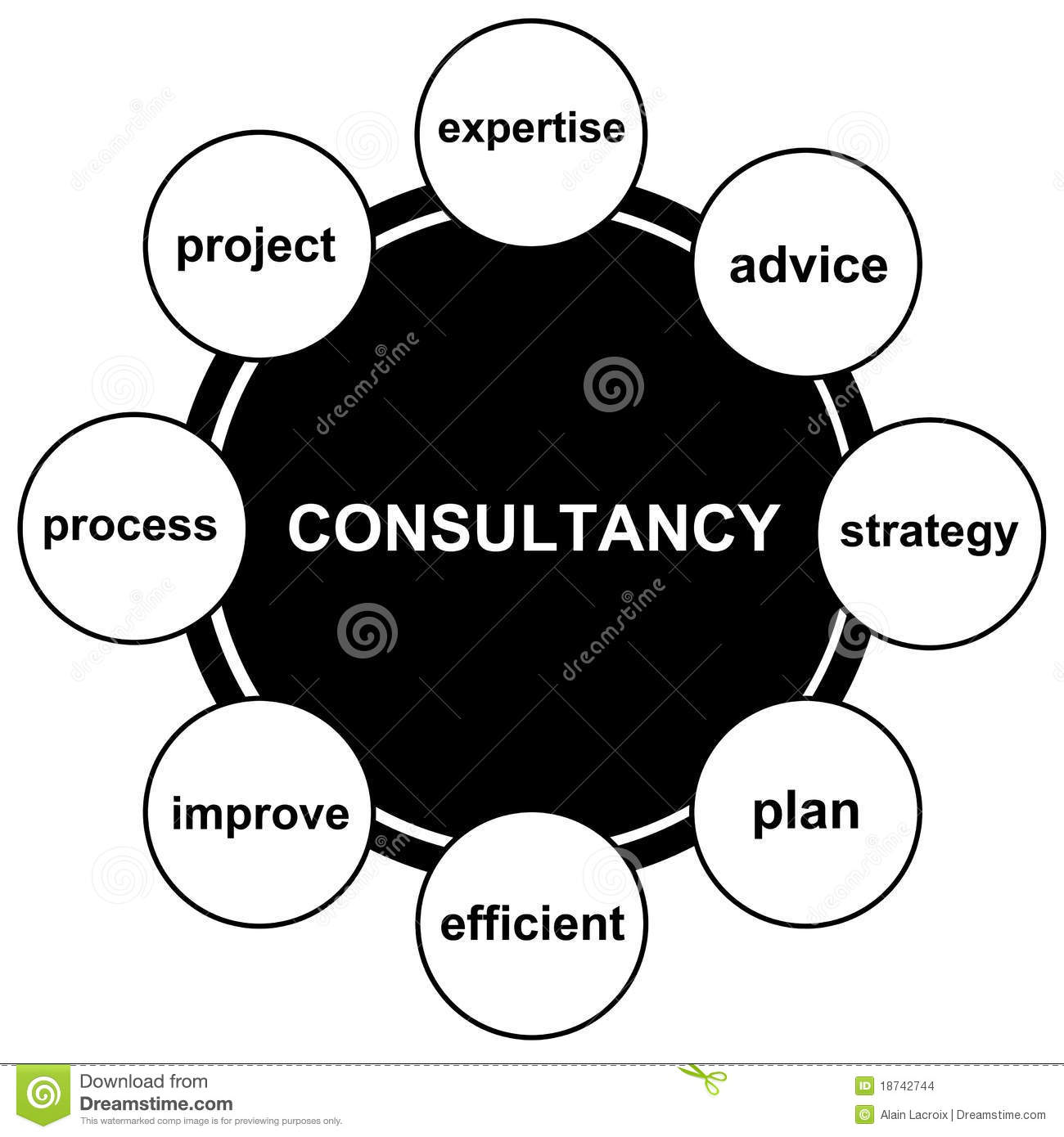 local governance consultancy